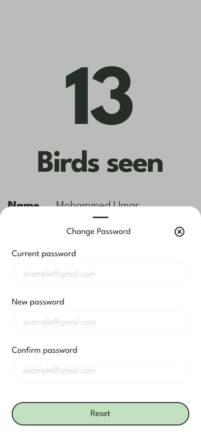 City Bird: The App — Changing password from the profile