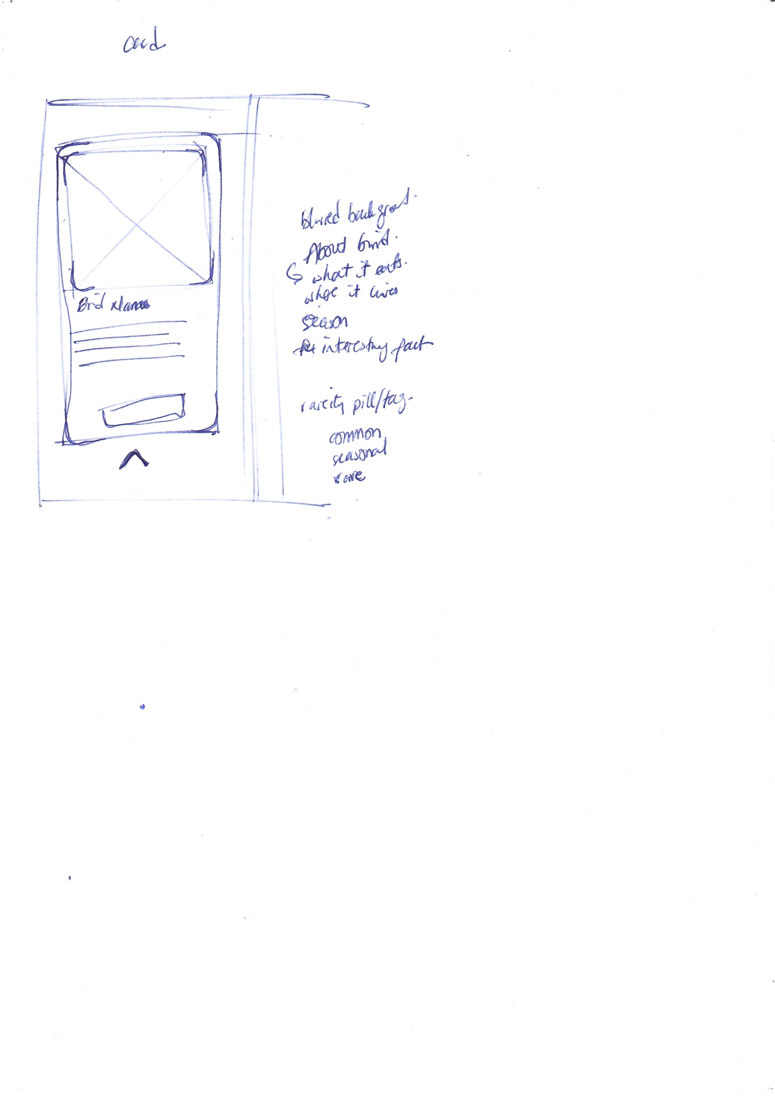 City Bird: The App — Sketch of a bird card