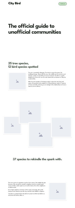 City Bird — Wireframe of a neighbourhood's trees and birds