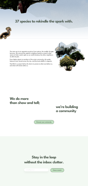 City Bird — The community page